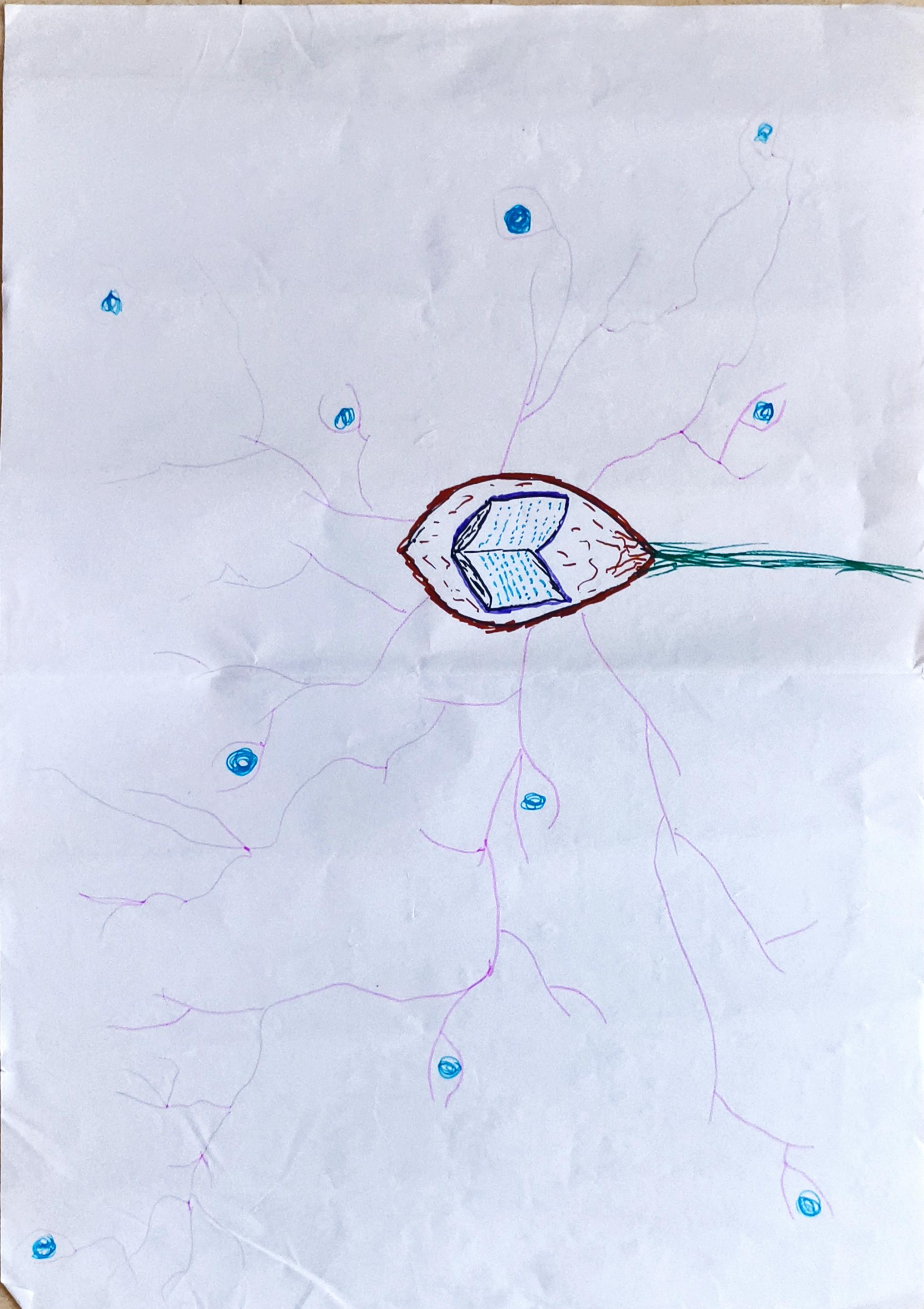 Hand-drawn illustration: at the centre, an open book sits cradled inside a leaf or seed shape. From it, thin pink and green roots spread outward across the page, each ending in a small blue circle - like nodes in a network.