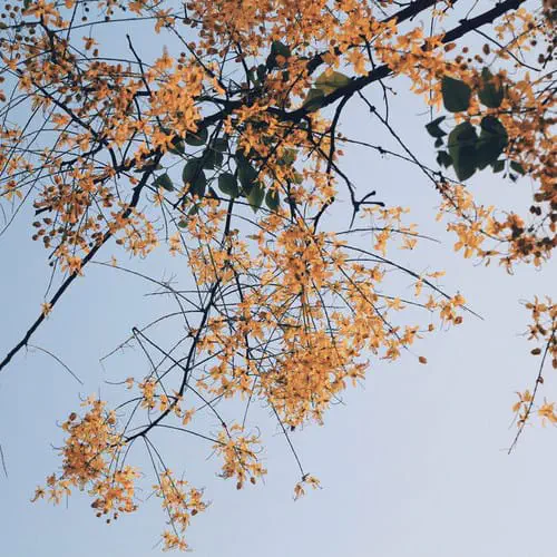 Real life featured image