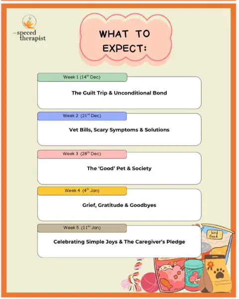 Description Not Provided