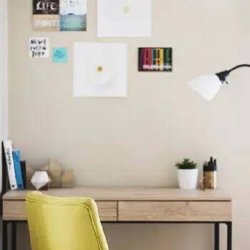 Tips for those seeking support | Image
