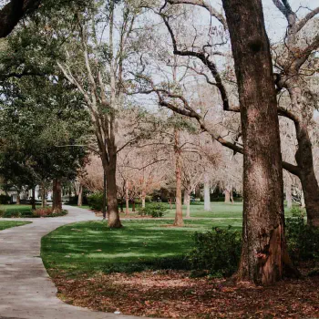 Experiencing alternate venues for therapy sessions | Image